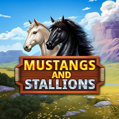 Mustangs and Stallions