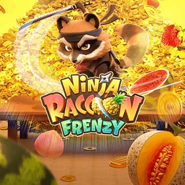 Ninja Raccoon Frenzy