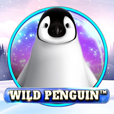 Wild Penguin