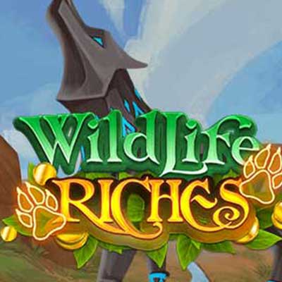 Wildlife Riches